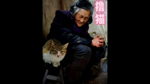 但愿世上无人病